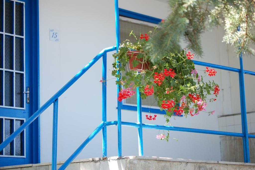 Комплекс Белите Къщи Shtarkelovo Gnezdo מראה חיצוני תמונה