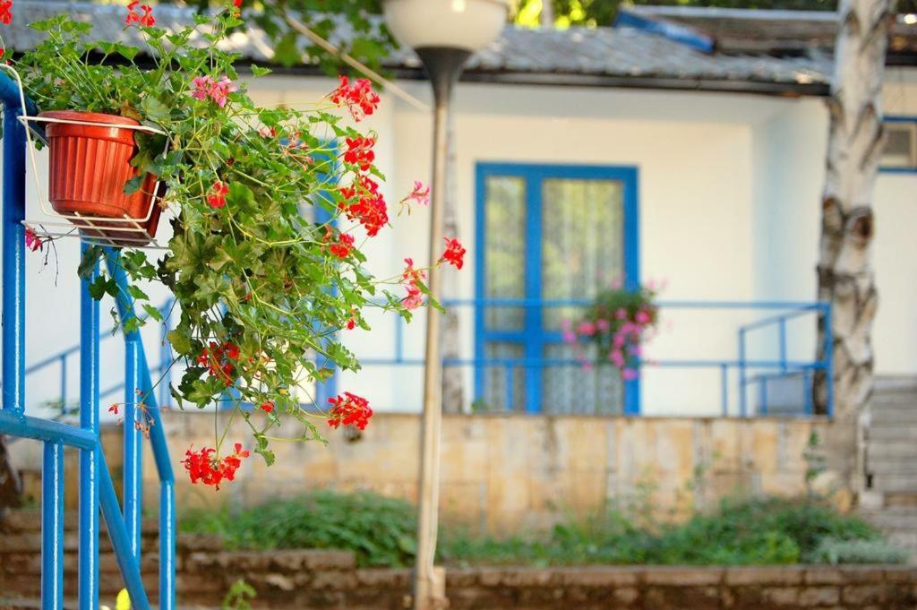 Комплекс Белите Къщи Shtarkelovo Gnezdo מראה חיצוני תמונה