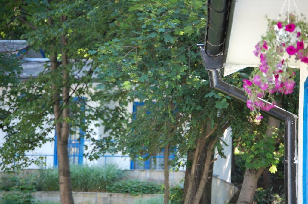 Комплекс Белите Къщи Shtarkelovo Gnezdo מראה חיצוני תמונה